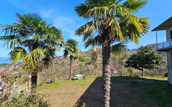House with Sea Views and Large Land Plot in Makhinjauri, Batumi