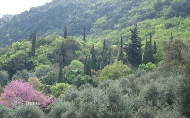 3-Bedroom Traditional House in Prinillas, Corfu, photo 4
