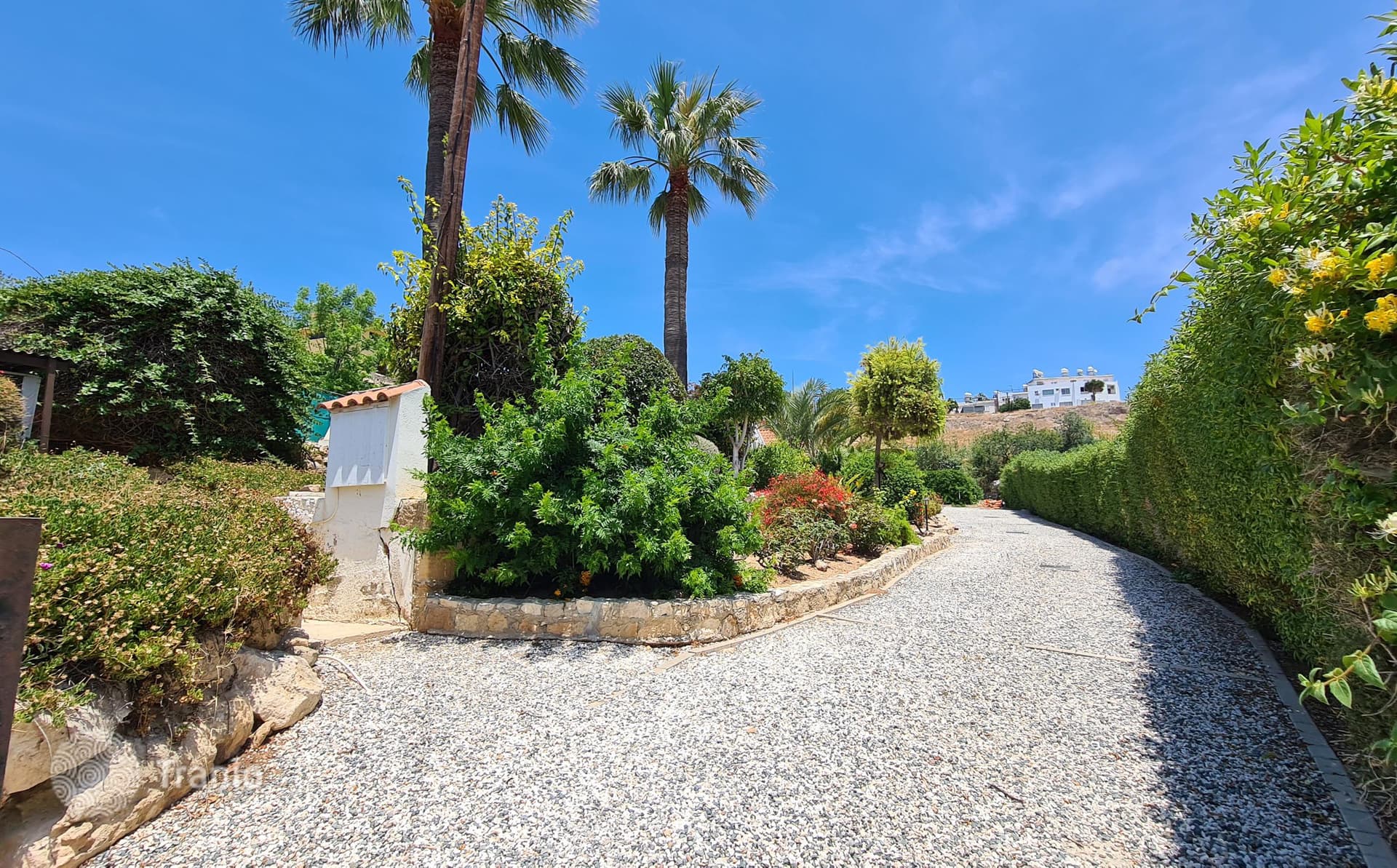 House on Large Plot in Cyprus, photo 4