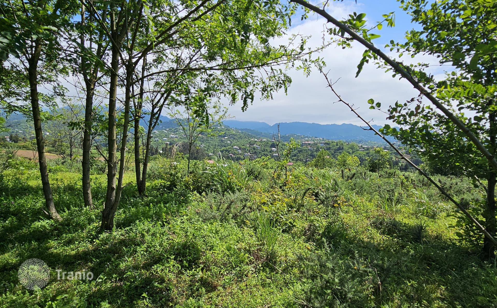Land Plot with Mountain and Sea Views in Kvareli, Batumi