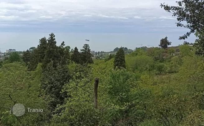 Land Plot with Sea View in Makhinjauri, Batumi