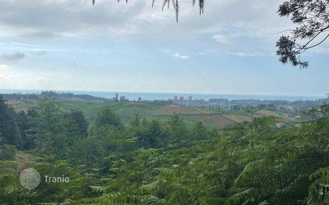 Non-Agricultural Land Plot 15 km from Batumi, Georgia, photo 2