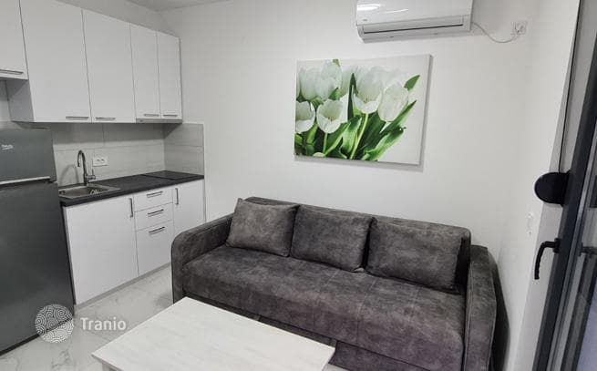 Studio with Terrace 250 m from the Sea in Djenovic, Herceg Novi
