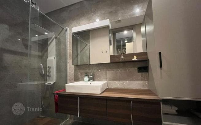 2-Bedroom Apartment in Beykoz, Istanbul, photo 2