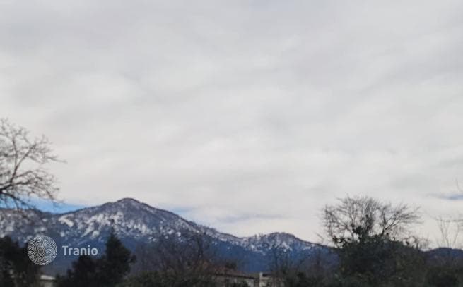 House with Mountain View and Fruit Orchard in Chakvi, Batumi, photo 2