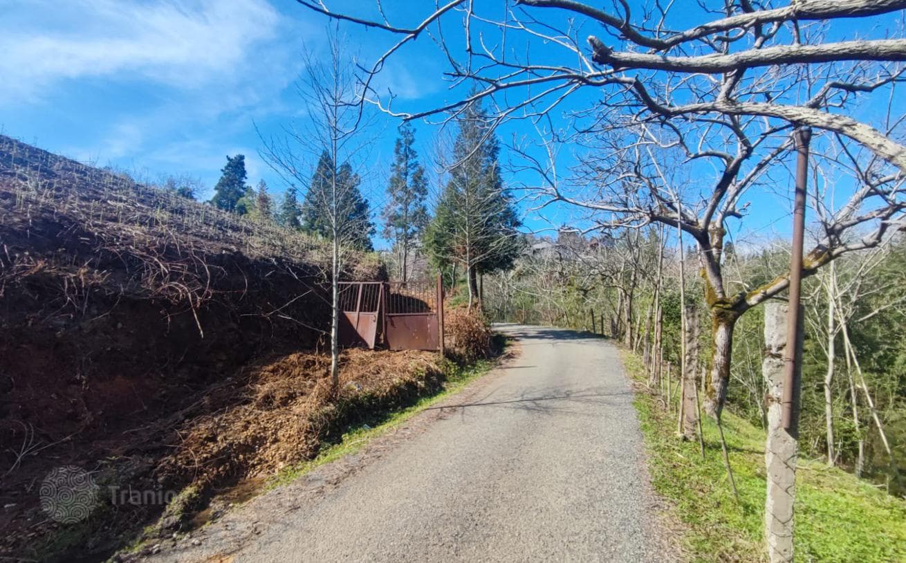 Large Land Plot with Mountain Views in Chakvi, Batumi, photo 4