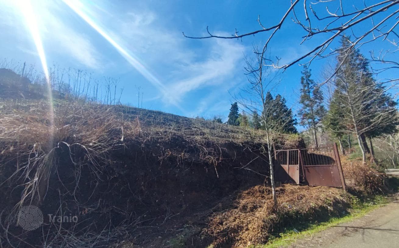 Large Land Plot with Mountain Views in Chakvi, Batumi, photo 5