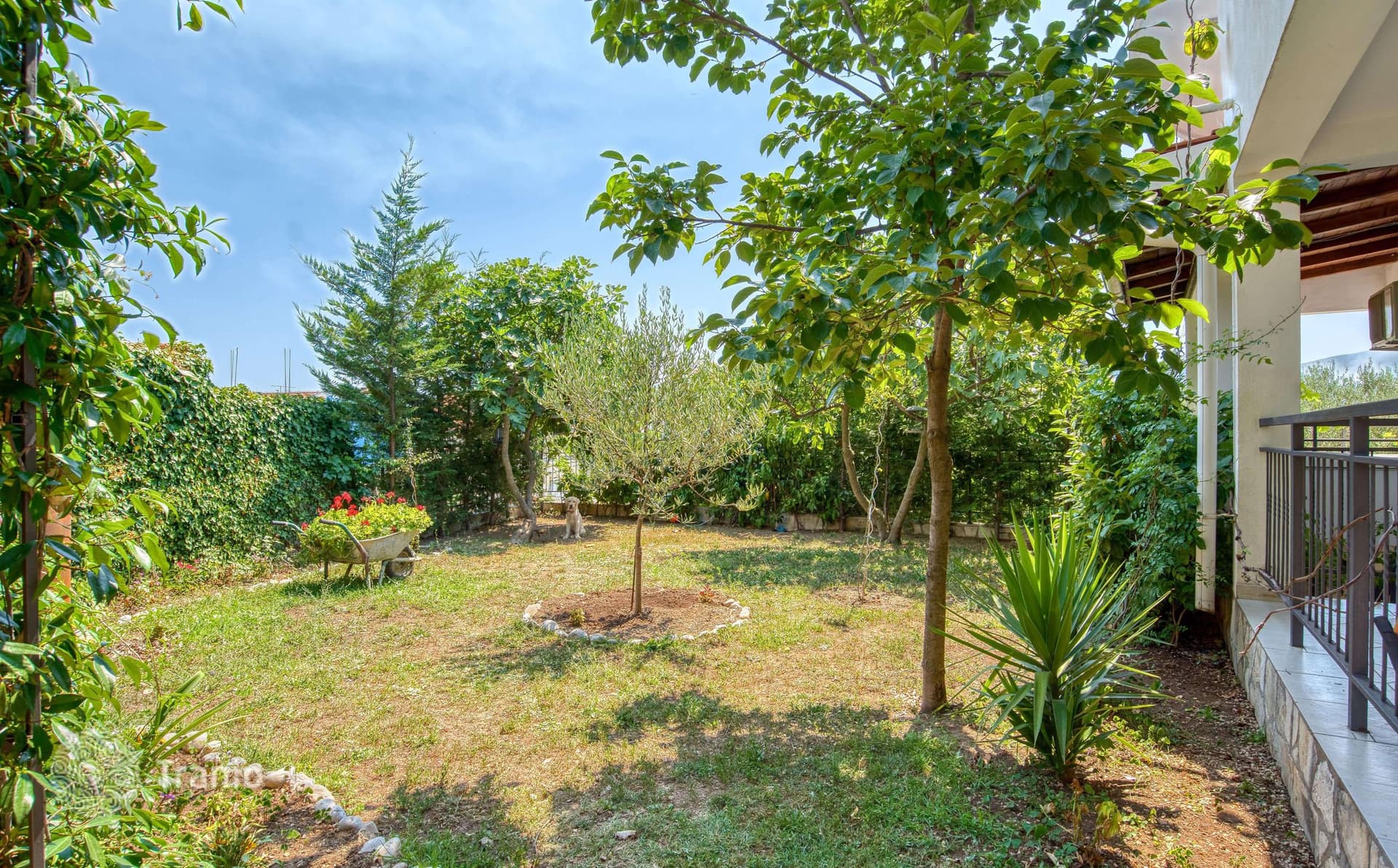 4-Bedroom House with Sea View in Herceg Novi, Montenegro, photo 4