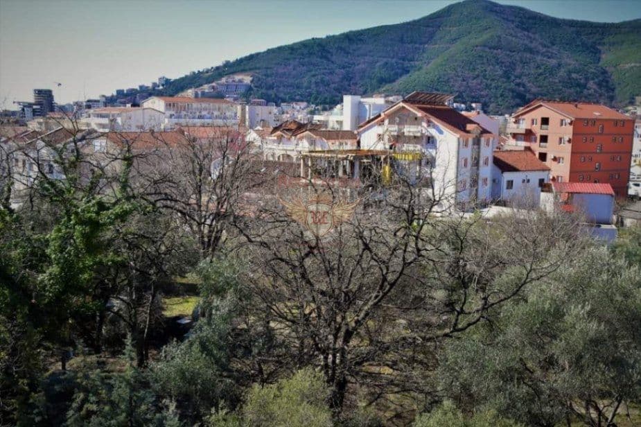 Квартира в Будве, Черногория, 46 м², фото 2