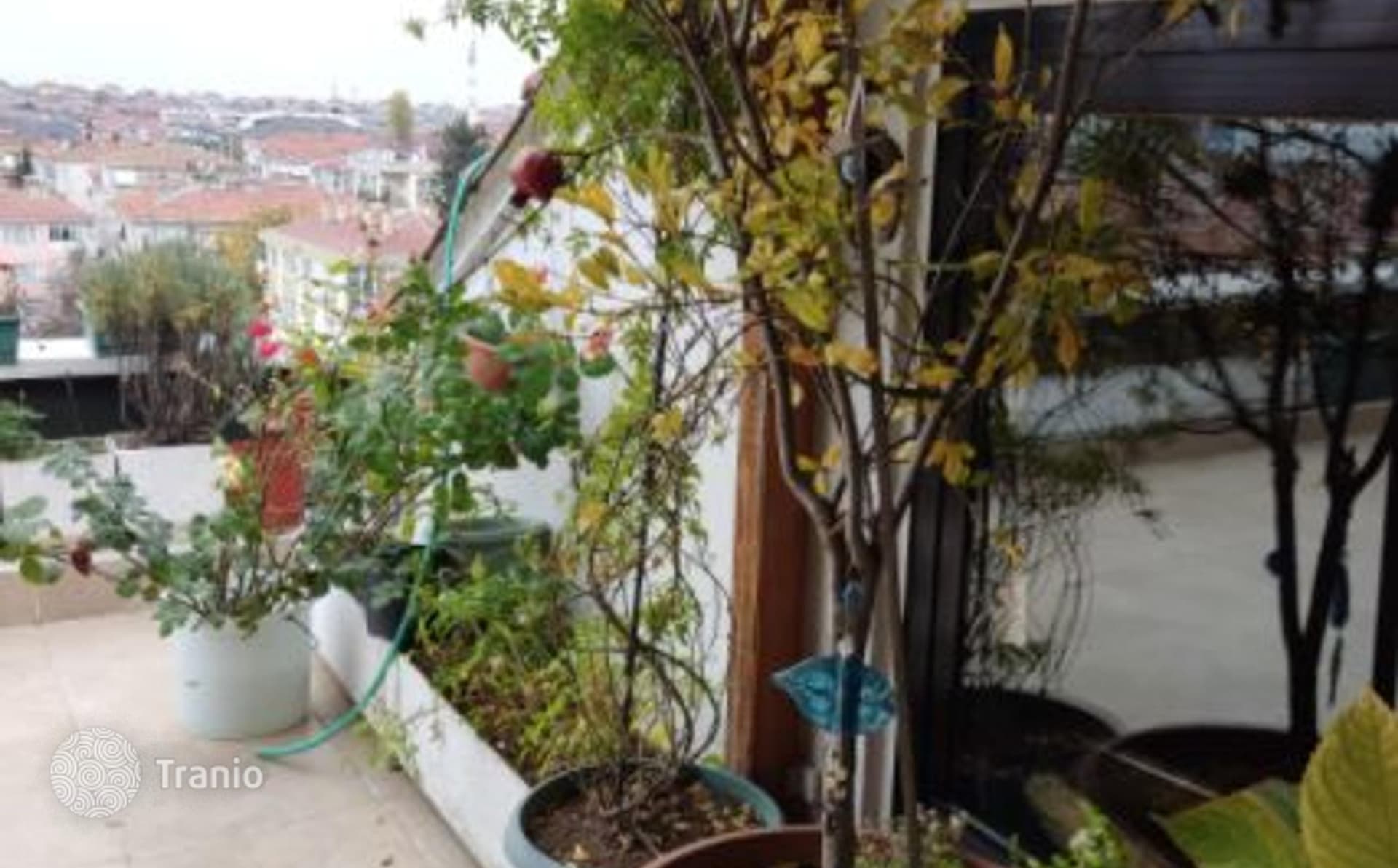 3-Bedroom Apartment in Bahcelievler, Istanbul, photo 4