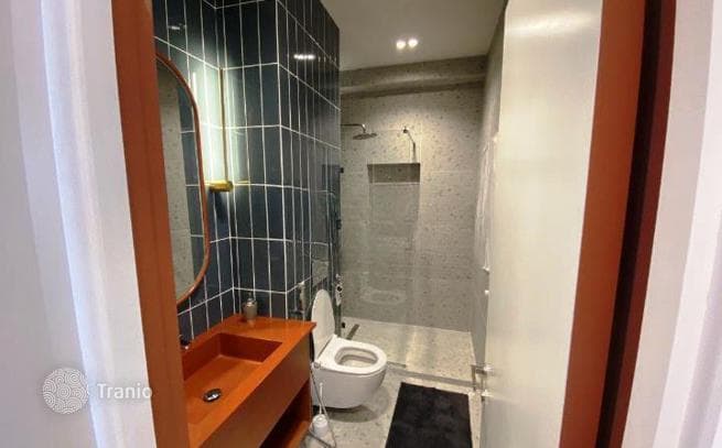 1-Bedroom Apartment on Krtsanisi Street in Tbilisi, photo 3