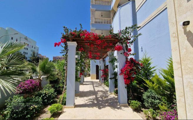 Luxury Apartments in Classical Colonial Style in Limassol, photo 3
