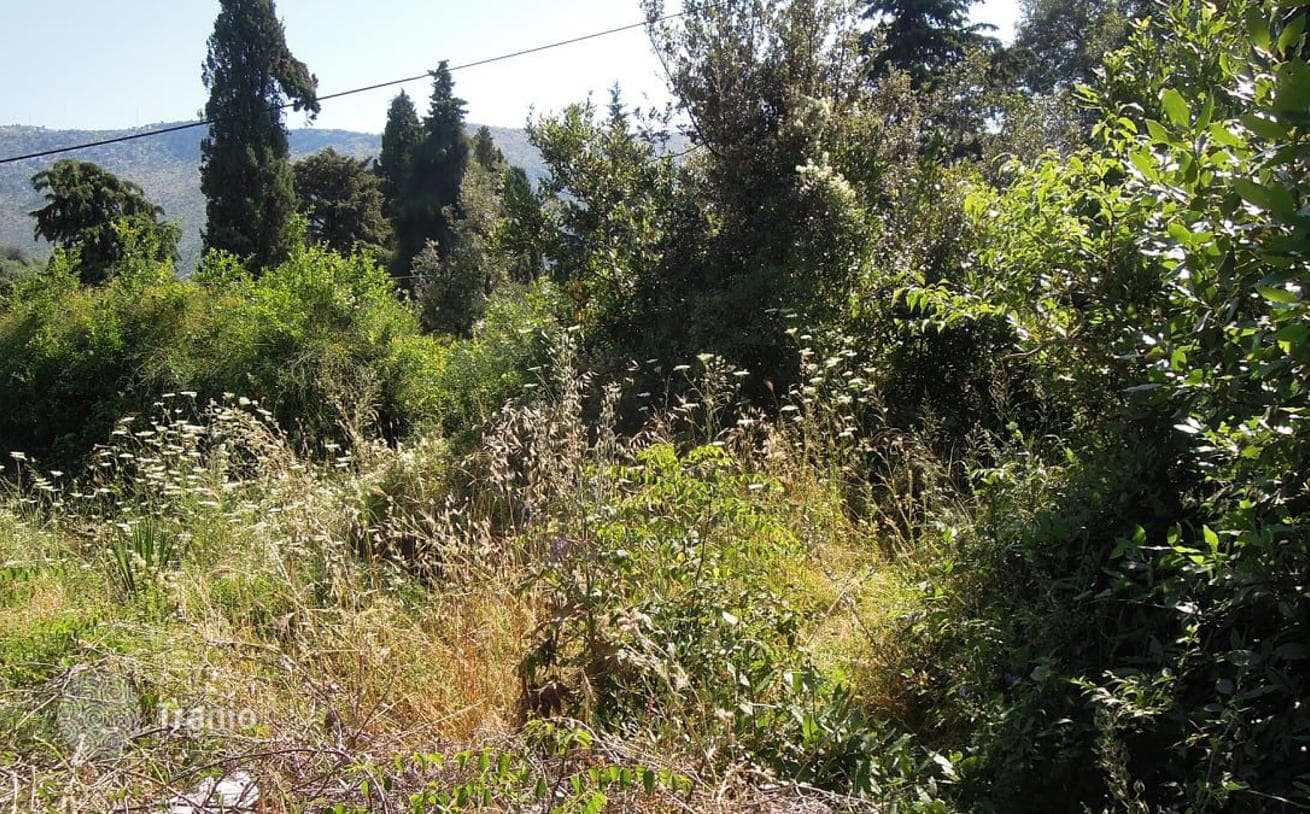 907 m² Land Plot 100 m from the Sea in Zaton, Croatia, photo 2