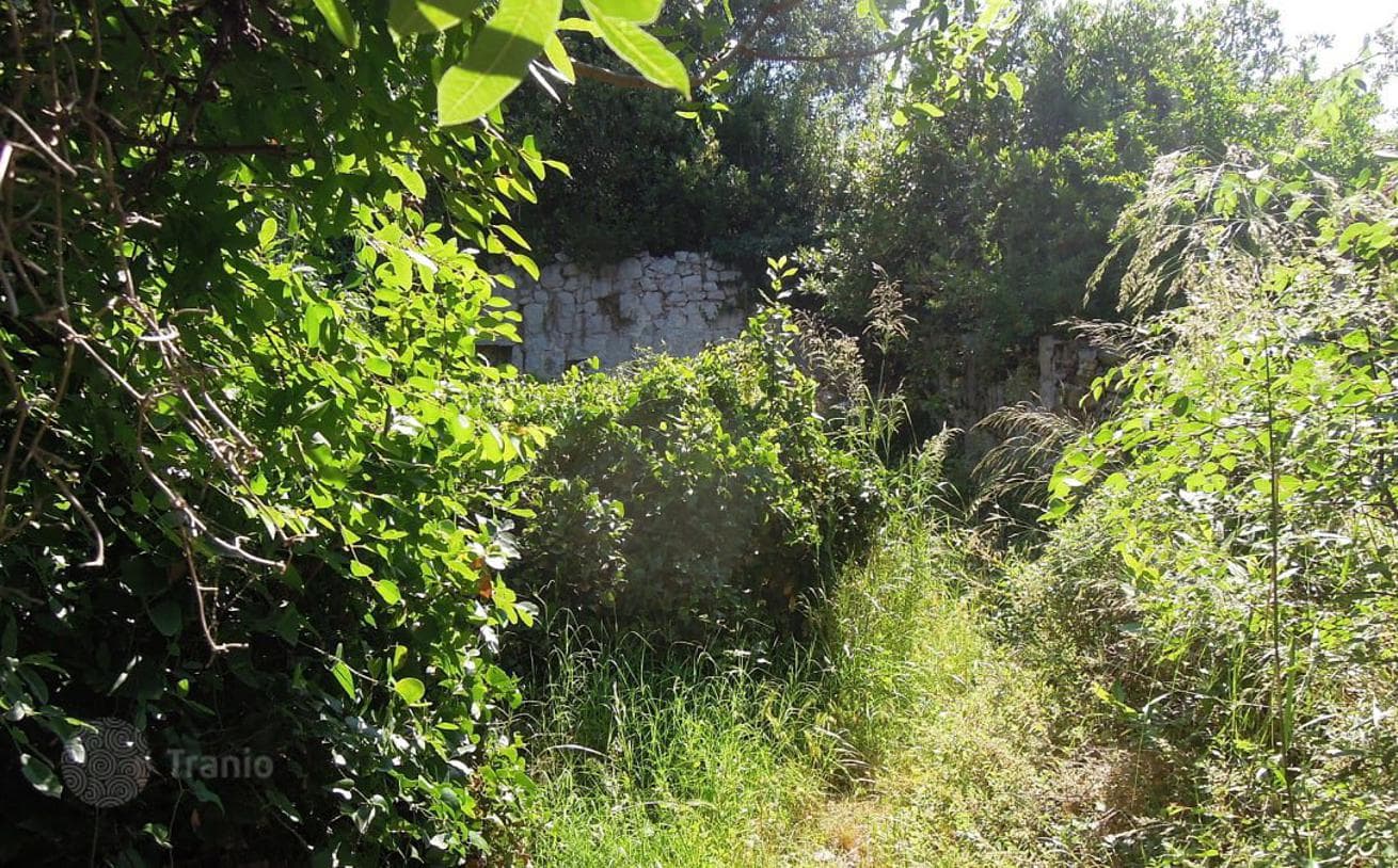 907 m² Land Plot 100 m from the Sea in Zaton, Croatia, photo 3