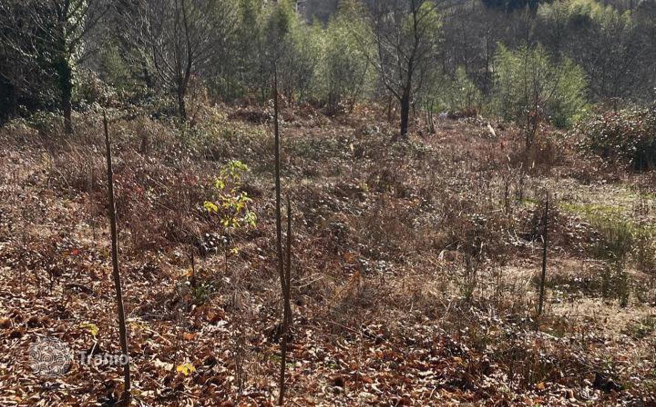Large Land Plot in Chakvi, Adjara