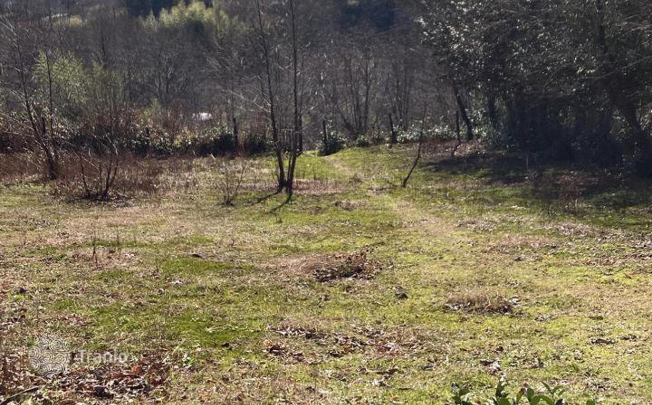 Large Land Plot in Chakvi, Adjara, photo 3