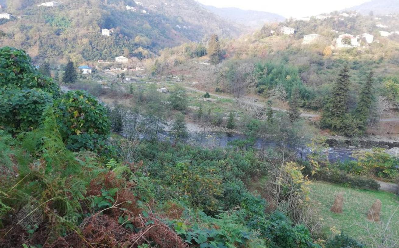 6,000 m² Land Plot with Mandarin and Lemon Grove in Hala, Batumi, photo 2