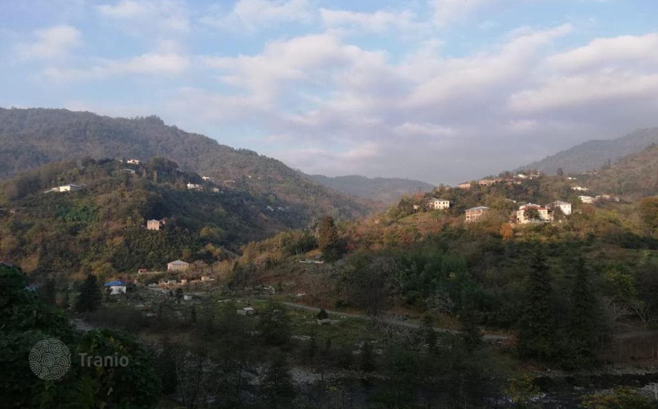 6,000 m² Land Plot with Mandarin and Lemon Grove in Hala, Batumi, photo 3