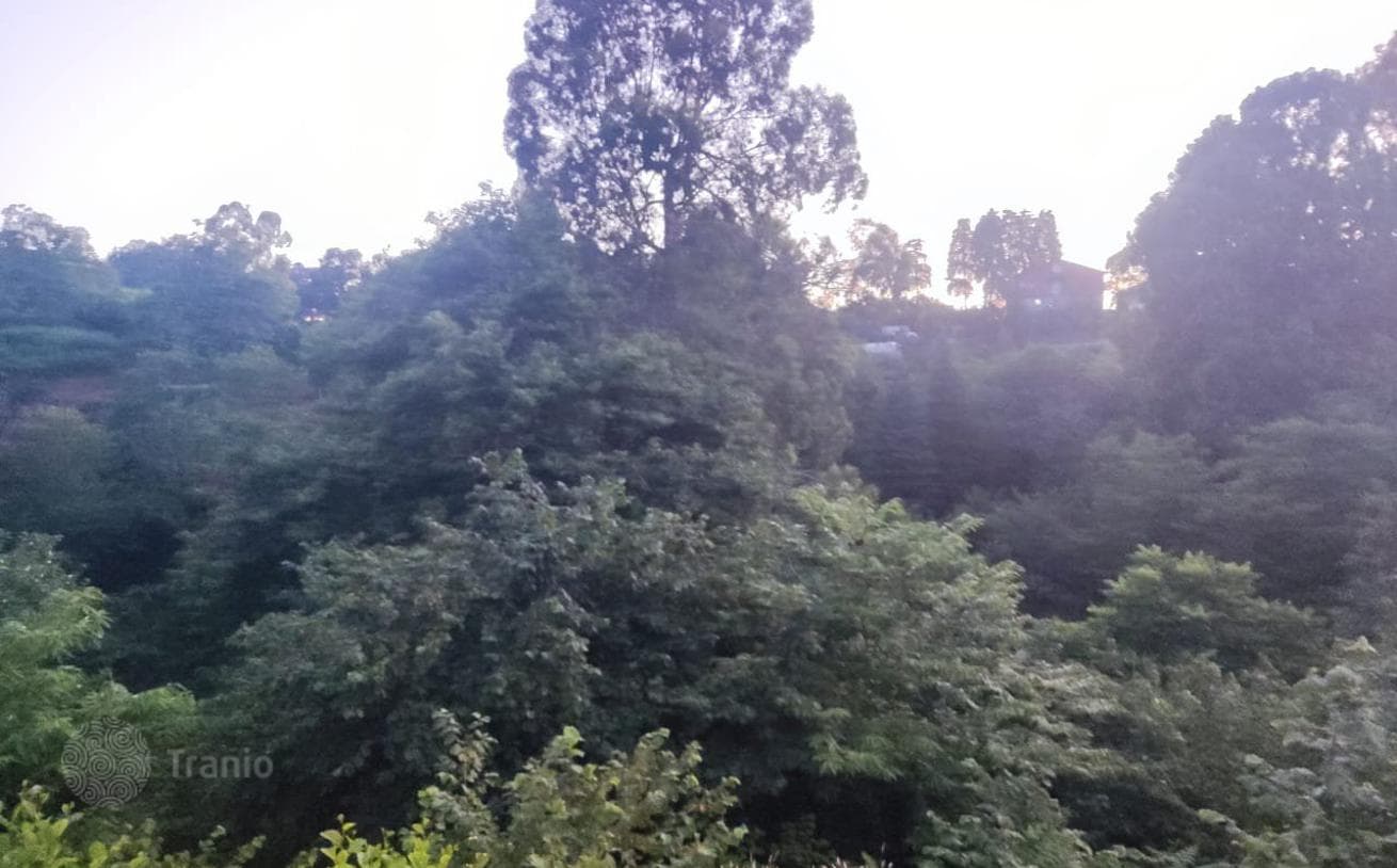 Land Plot with Sea View in Batumi, photo 5