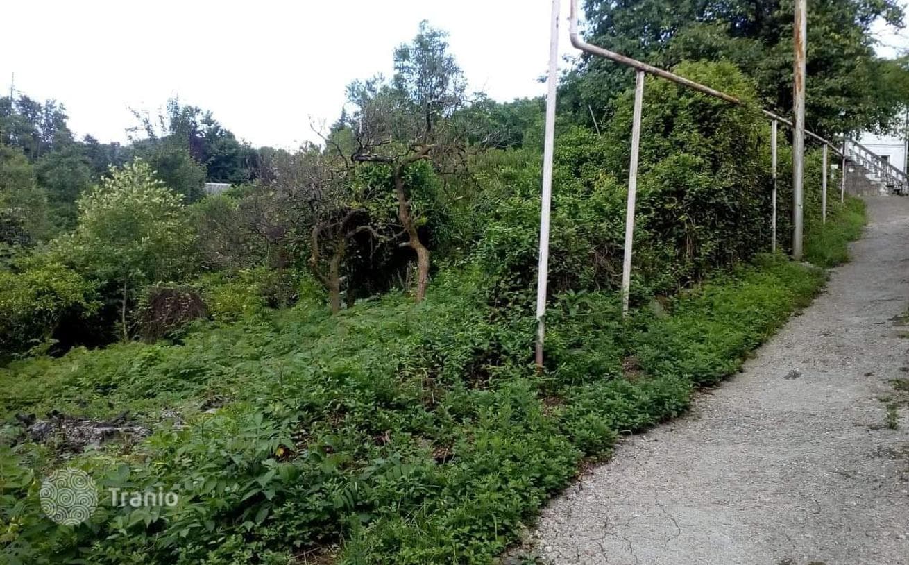 Land Plot with Sea View in Makhinjauri, Batumi, photo 3