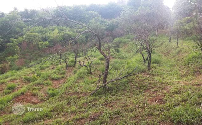 Land Plot with Sea View 9 km from Batumi City Center