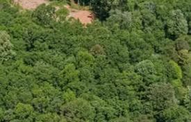 Land Plot in Beykoz, Istanbul, photo 3