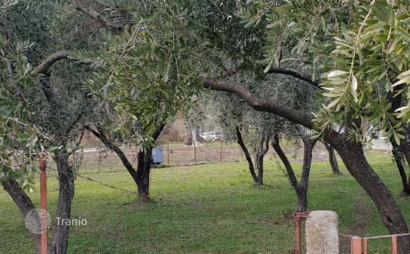 Land Plot 200 m from the Sea in Budva, Montenegro