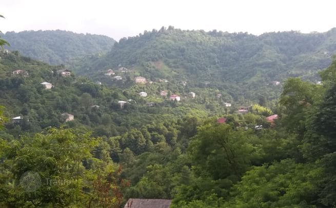 Land Plot with Sea View 9 km from Batumi City Center, photo 3