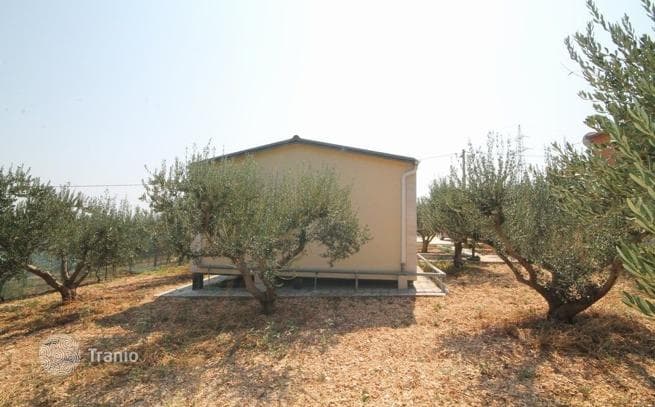 Farm in Kastela, Dalmatia, photo 4
