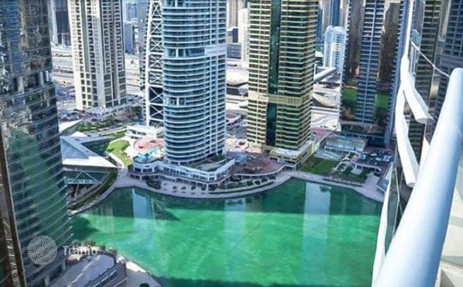 1-Bedroom Apartment with Lake View in Jumeirah Lake Towers, Dubai, photo 2