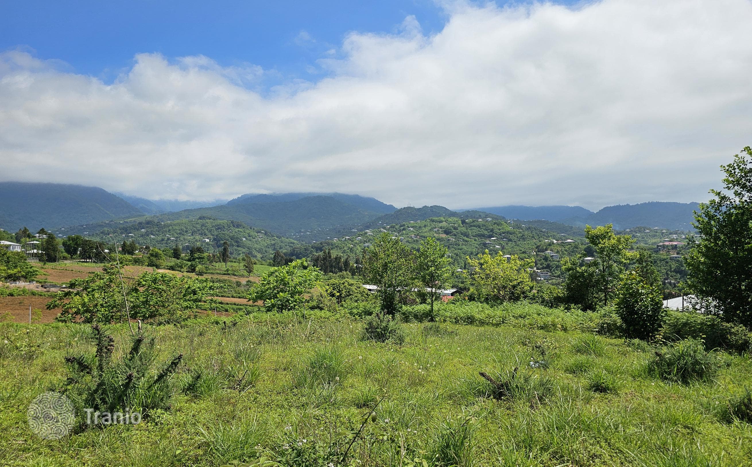 Land Plot with Mountain and Sea Views in Kvareli, Batumi, photo 4
