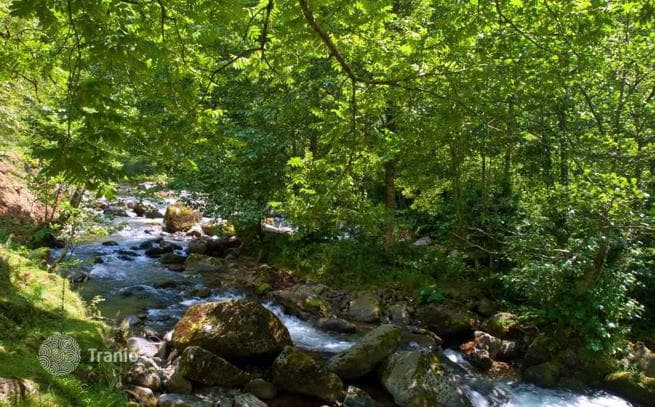 Land Plot near River in Chakvi