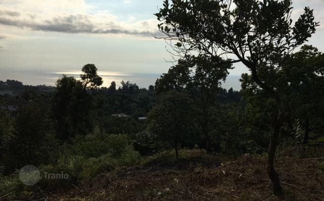 Land Plot with Sea, Mountain and City Views in Batumi