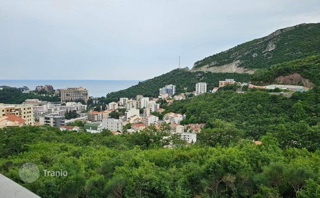 Studio Apartment with Sea View in Becici, Budva, photo 5