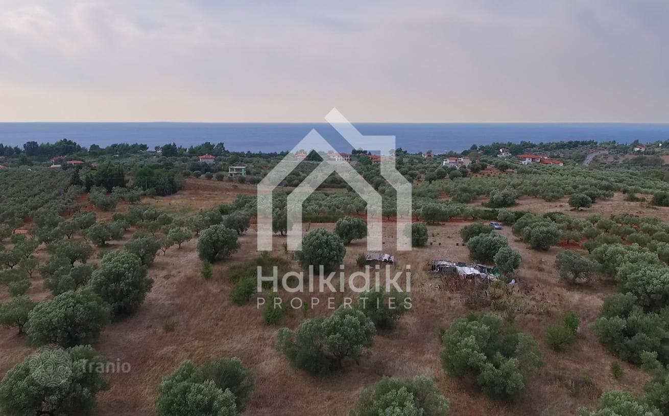 Land Plot in Nikiti, Greece, photo 2