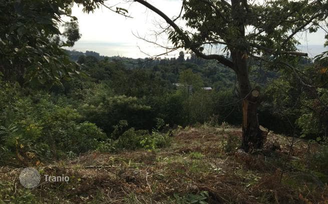 Land Plot with Sea, Mountain and City Views in Batumi, photo 4