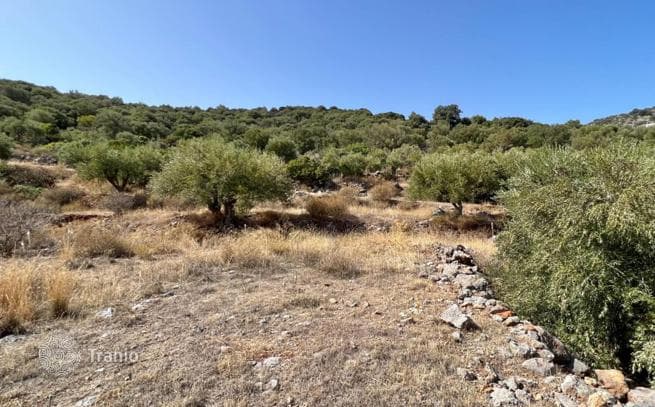 4-Bedroom Villa in Lasithi, Crete, photo 2