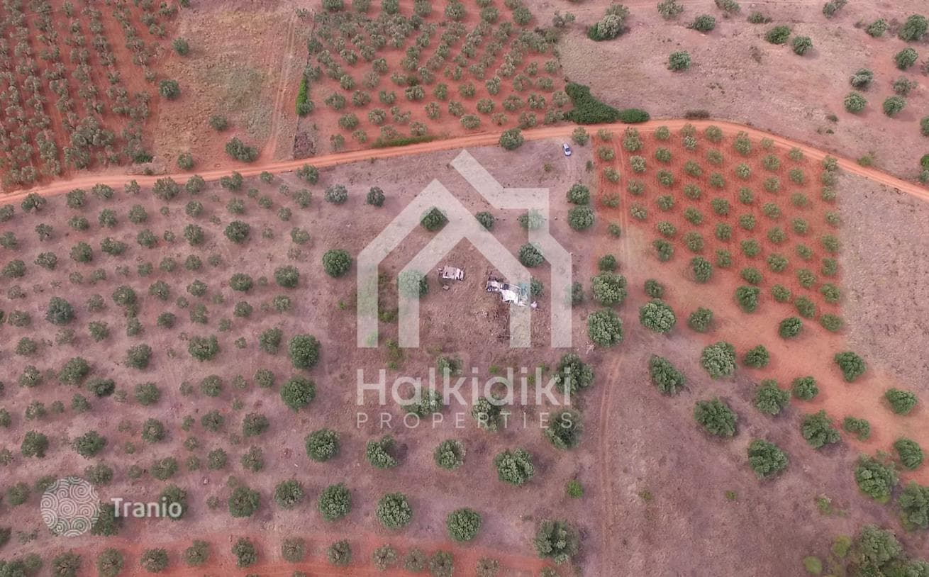 Land Plot in Nikiti, Greece, photo 4