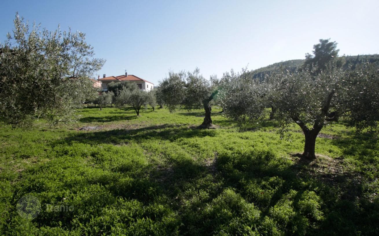 2,800 m² Beachfront Land Plot with Sea and Mountain Views in Kassandra, Halkidiki, photo 2