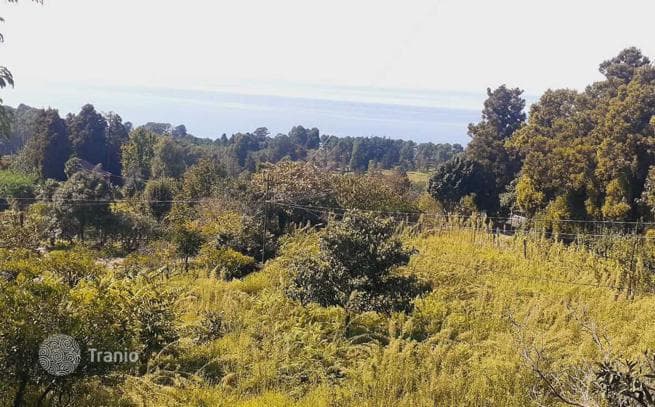 Land Plot with Sea View in Tskhilkitskhi, Adjara