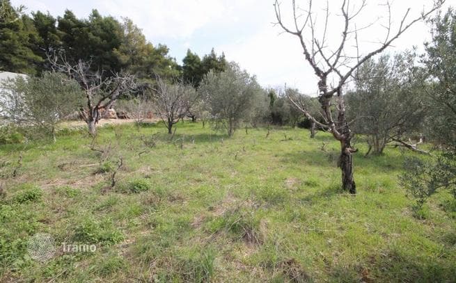 House with Land in Kastel-Luksic, photo 5