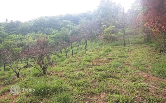 Land Plot with Sea View 9 km from Batumi City Center, photo 4
