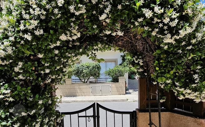 2-Bedroom Townhouse in Chloraka, Cyprus, photo 5