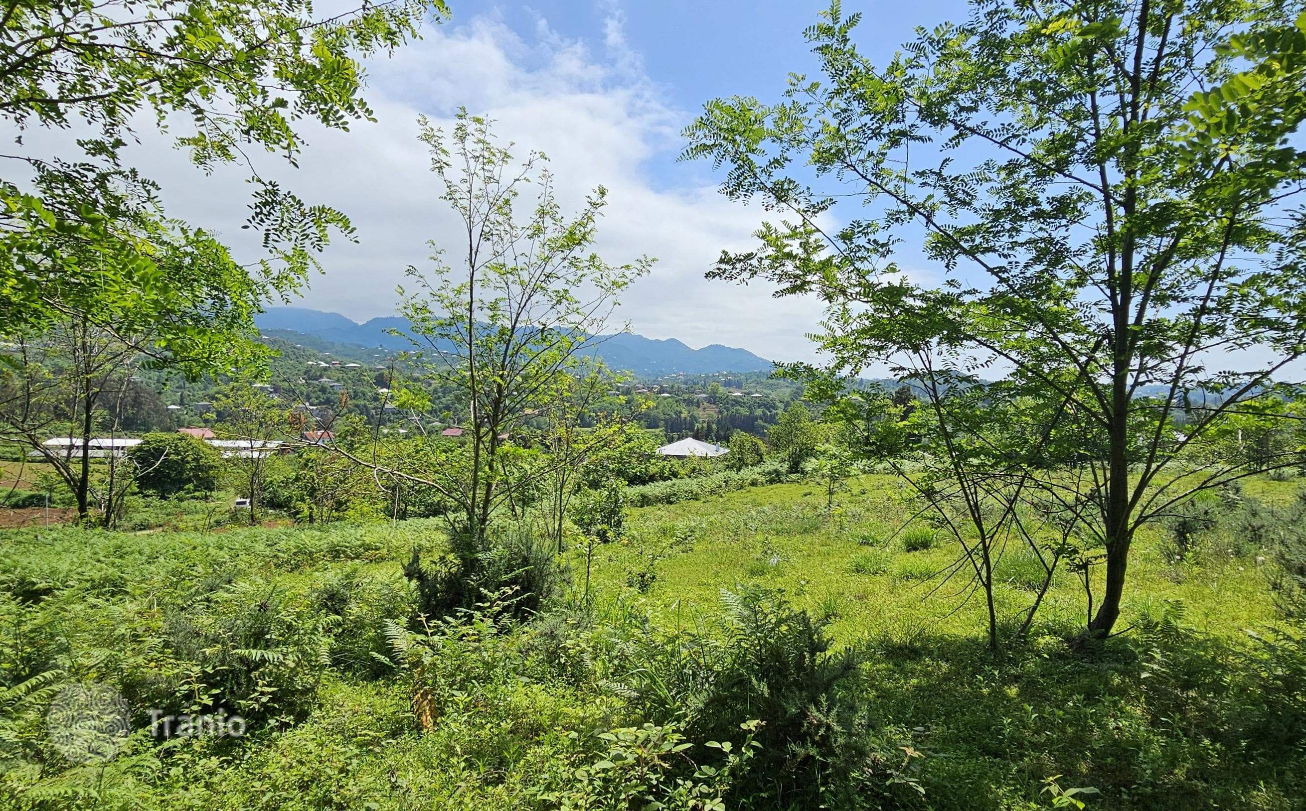 Land Plot with Mountain and Sea Views in Kvareli, Batumi, photo 2