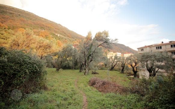 Land Plot with Olive Garden and Sea View in Petrovac, Montenegro, photo 2
