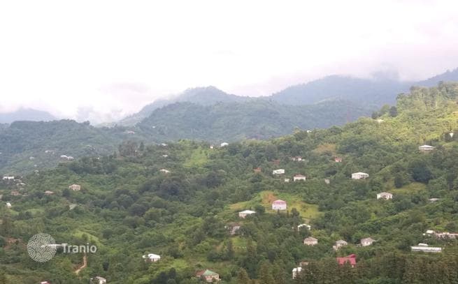Land Plot with Sea View 9 km from Batumi City Center, photo 5