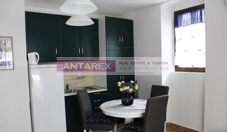 Studio Apartment 30 m from the Beach in Kostanjica, photo 5