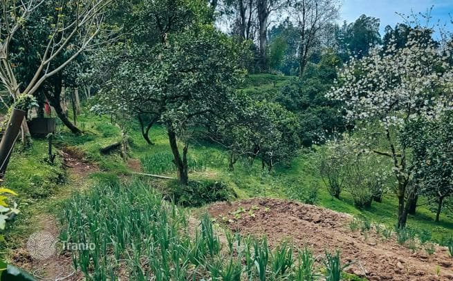 470 m² Land Plot with Mountain and Sea Views in Tskhilisdziri, photo 3
