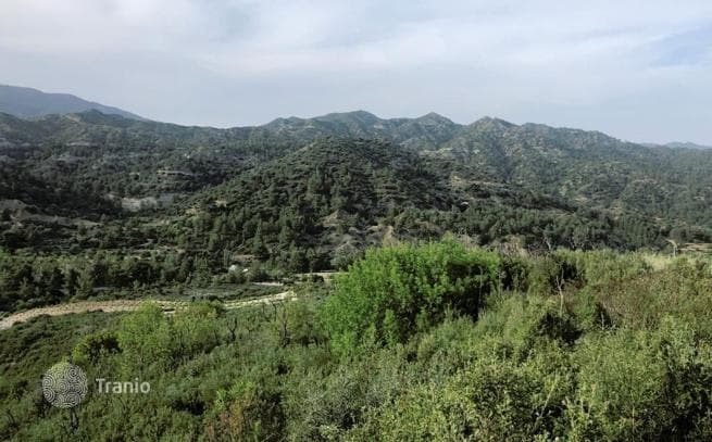 Land Plot in Troodos, Cyprus, photo 3