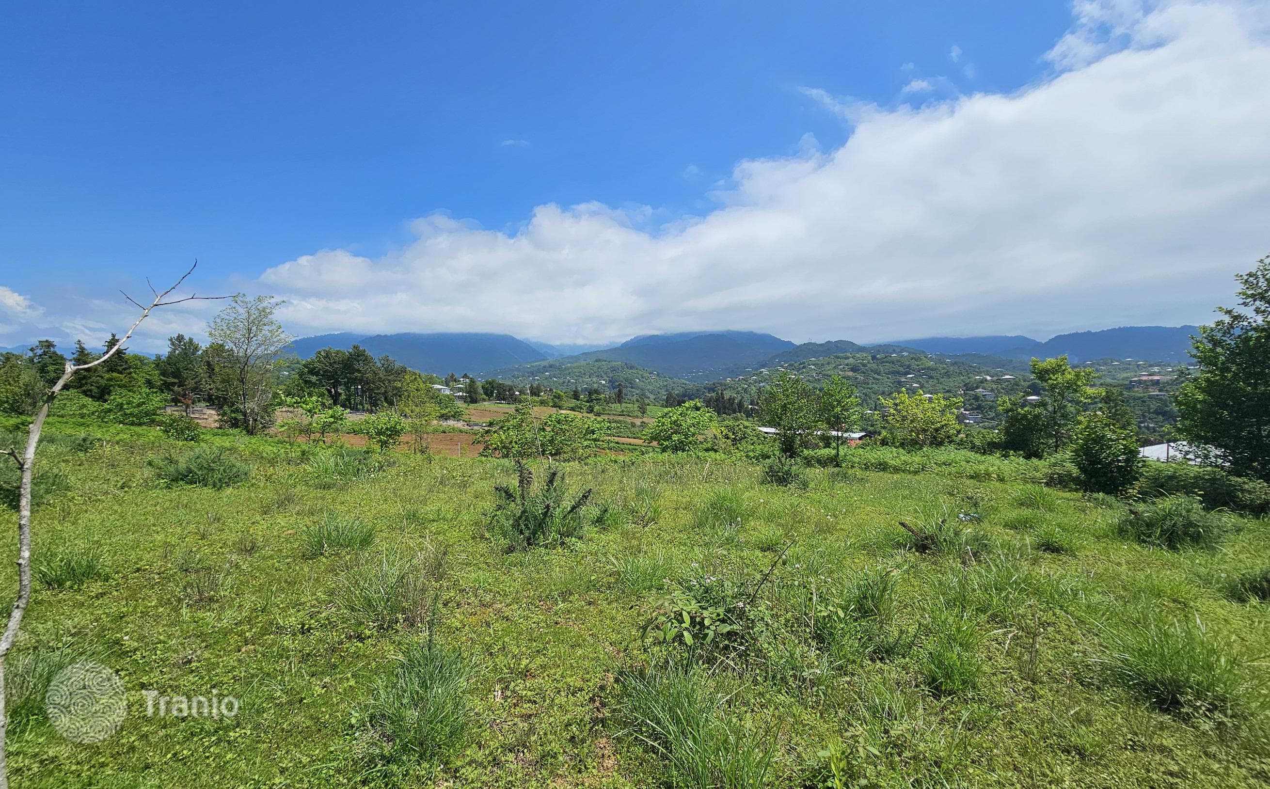 Land Plot with Mountain and Sea Views in Kvareli, Batumi, photo 3